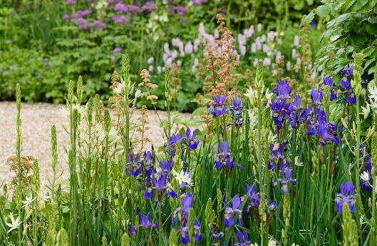 Great little breaks - the rhs chelsea flower show - RHS Garden Bridgewater